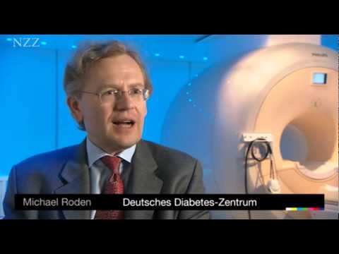 Aus der modernen Insulinen gemacht Maulbeere für Diabetiker