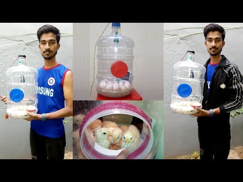 DIY - Homemade Incubator || How To Make Egg Incubator Simple And Easy || Hatching Chicken Eggs