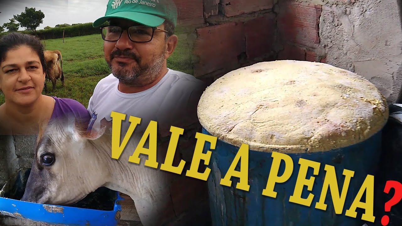 ABRIMOS O SILO!! VEJA O RESULTADO!! - PC Morette