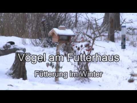 Vögel am Futterhaus -- Fütterung im Winter Trailer MedienLB