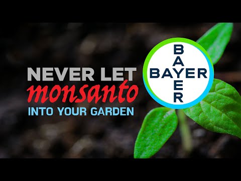 Why I Never Buy Seeds from These Local Companies