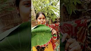 Download lagu Introducing the 'VitaWear SmartBand,' a🫣😡😱🤯#... mp3