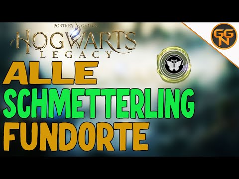 Hogwarts Legacy Guide - Alle 16 Schmetterling Fundorte