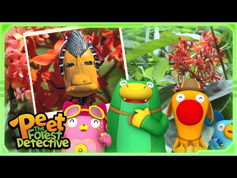 Mystery Face in the Forest! 👻🔍 | Full Episode | Cartoons for Kids | Peet The Forest Detective
