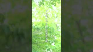 【新人Vtuberお披露目！】第一章「誰も知らないおとぎ話」 #新人vtuber