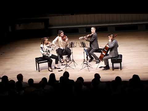 Rolston String Quartet - Festival of the Sound 2019