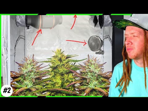 🌱Must-Have Gear for Growing at Home