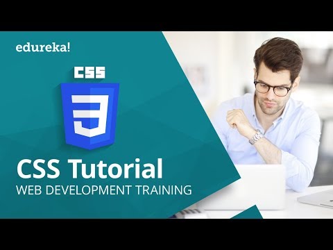 Learn CSS Tutorial For Beginners | CSS Crash Course In One Hour | Web ...
