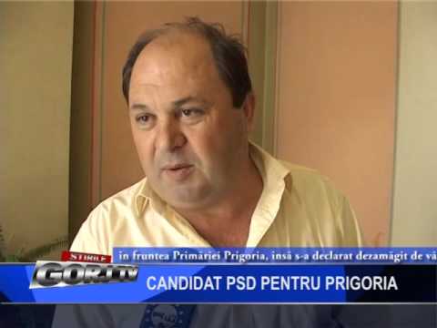 candidat psd pentru prigoria
