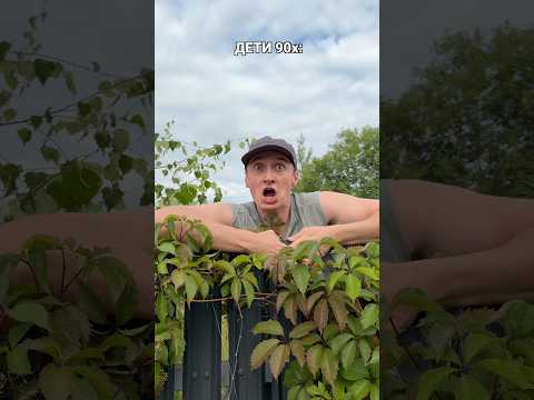 КАК В ДЕТСТВЕ ВОРОВАЛИ МАЛИНУ