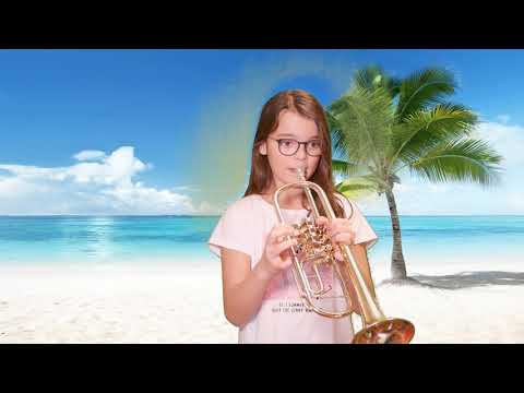 Taylor Swift - Look what you made me do | Trumpet Girl | Bb Trompete