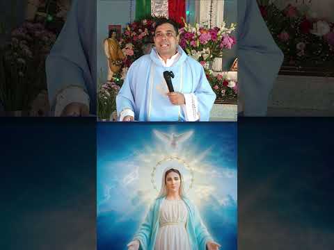 virgen María - Dogmas marianos #catolico #virgemaria