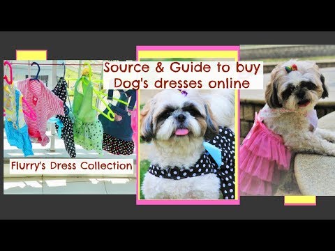 How To Buy Dresses Online For Dogs | Best Source To Buy Pet Clothes Online In India