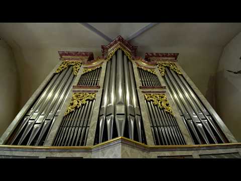 Tour of Stops: Pirchner/Lenter Organ from Obermillstatt (Carinthia, Austria)