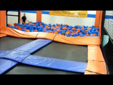 Llc Information - Fill Online, Printable, Fillable, Blank | pdfFiller