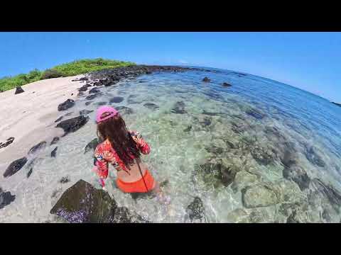🦭San Cristobal ☀️Isla Galapagos 🇪🇨 belleza natural preservada 🙏 Playas cerca de la ciudad 💚