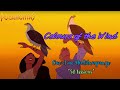 Pocahontas Colours Of The Wind One Line Multilanguge