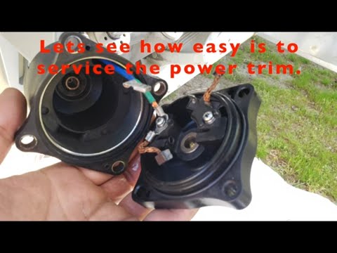 Honda BF250 power trim service.