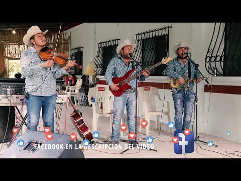 CD Miguel y su Dinastia Huapanguera Vol 2 CANCIONES