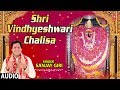 श्री विन्ध्येश्वरी चालीसा I Shri Vindhyeshwari Chalisa  I SANJAY GIRI I Ne