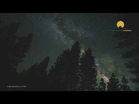 ¿Conoces nuestra BÓVEDA CELESTE?