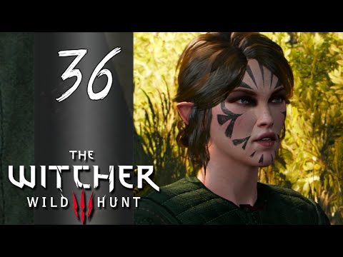 [Contract: Woodland Beast]  ► Let's Play The Witcher 3: Wild Hunt - Part 36