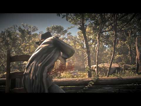 RED DEAD REDEMPTION 2 Gameplay Walkthrough Part 20