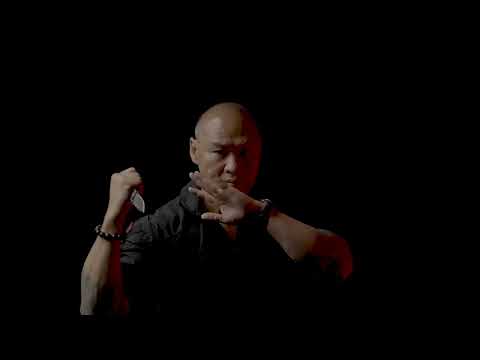 Spartan-Harsey Folder Special Edition (The Way of the Tiger)