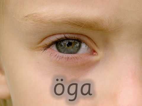 Kan du kroppen, del 2 - HoppHatten - Kroppsdelar - Lär dig nu