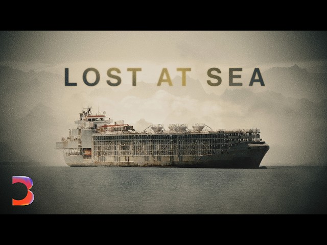 The Dark Side of the $20 Billion Livestock Shipping Industry SDDEFAULT Thumbnail