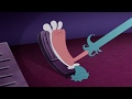 NEW SEASON 6 Oggy And The Cockroaches Crazy Driving S06E37 Full Episode In HD