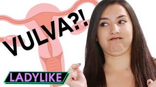 Can You Label Your Body Parts? • Ladylike