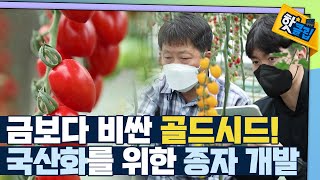 [핫클립] 씨앗의 가치는 얼마나 클까? / YTN 사이언스