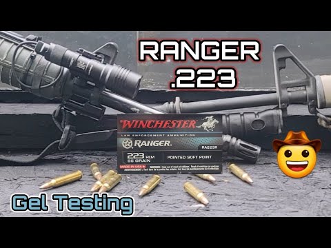 .223/5.56 Speer 50 Grain Varmint Soft Point [Accuracy and Ballistic Performance Testing]