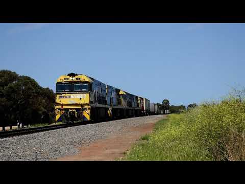 Freight Train (7MP5)