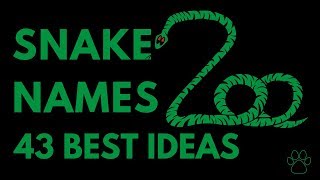 Snake Names - 43 BEST Ideas!!! | Names