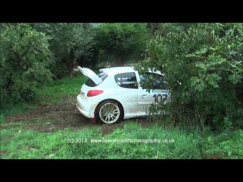 10° Rallylegend 2012 Peugeot 206 (Snichelotto & Veller) shakedown crash.