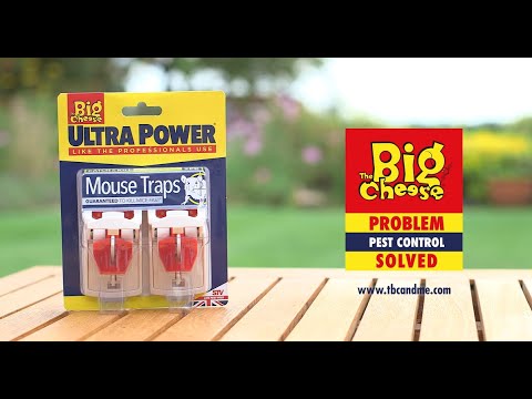 The Big Cheese Ultra Power Mouse Traps - Twin Pack - STV148