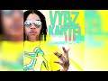 VYBZ KARTEL SUMMERTIME AUDIO THROWBACK 2011