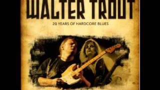 Walter Trout -  She&#39;s out There Somewhere.wmv