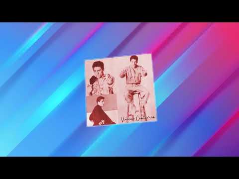 Vinícius Cantuária - Esse Som Eu Quero   (Playback & Backing)