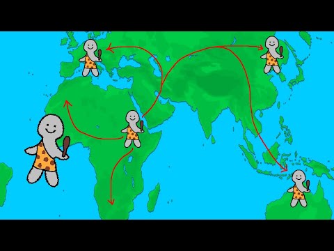 Tout comprendre sur la préhistoire