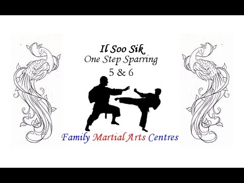 Il Soo Sik #5 & #6 (One Step Sparring)