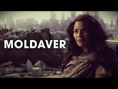 Lee Moldaver