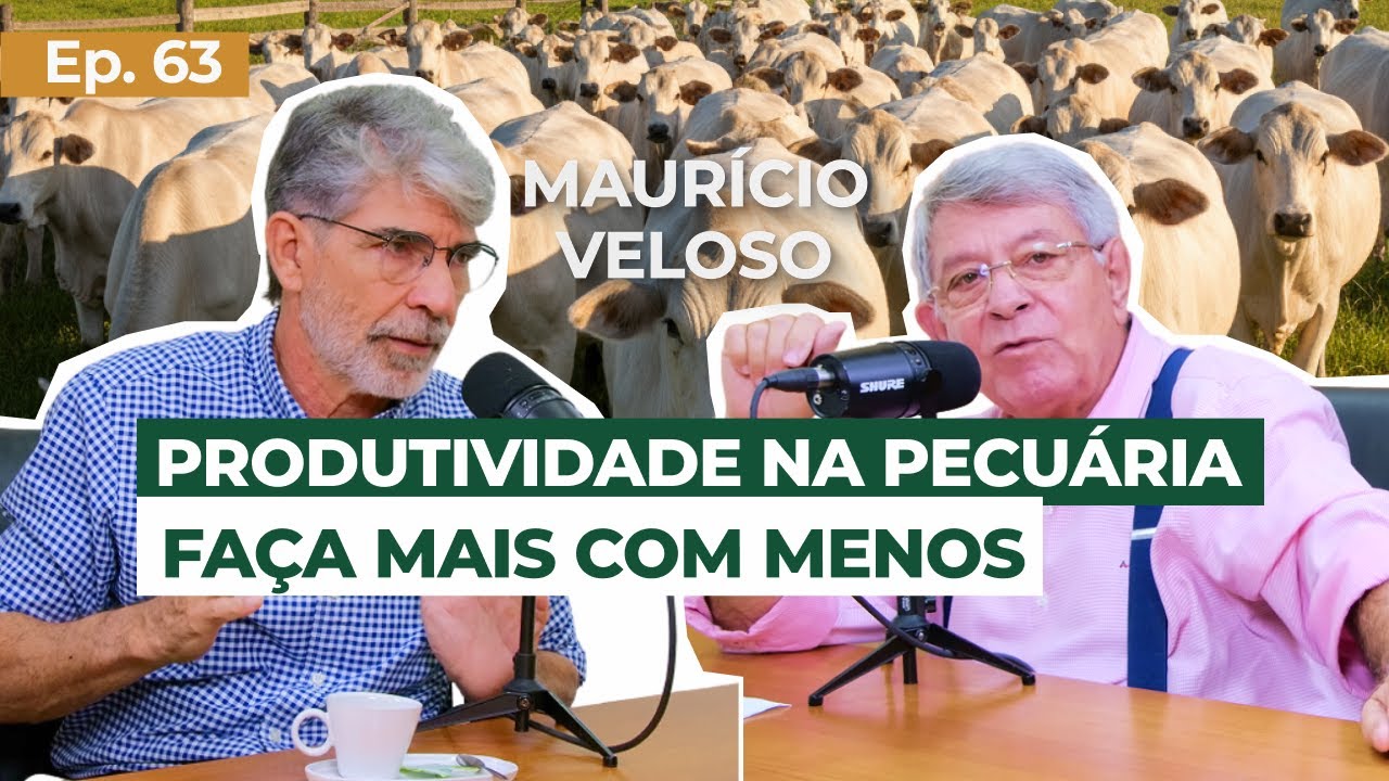 EP 63 - Produtividade na pecuária: faça mais com menos - com Maurício Veloso