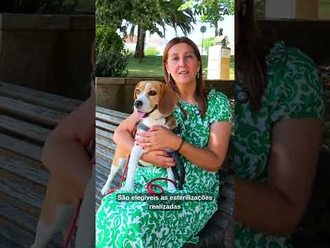 Vereadora Ana Cristina Martins faz um apelo de participação na campanha de esterilização
