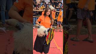 Download lagu cewek kalap sangat mengerikan!! kerasukan demit bantengan!! #bantengan #bantenganmalang #mberot mp3