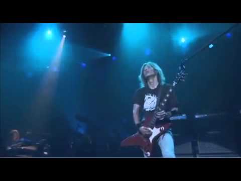 Syu Wiki Metal Amino