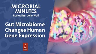 Gut Microbiota Composition Influences Epithelial Cell Gene Expression