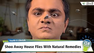 Shoo Away House Flies With Natural Remedies